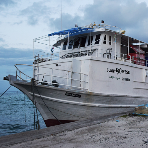 Sunny Express cargo vessel